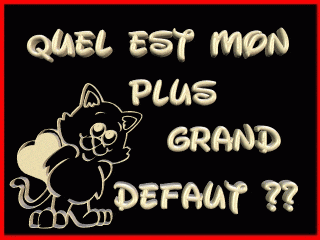 Quelle est ton plus grand défaut ??